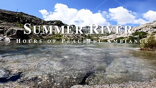 Tranquil Summer River | Serene Nature ASMR with Gentle Ripples and Chirping Birds
