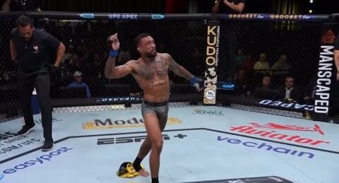 Wild Submission Celebrations