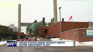 Possible human organ found at Detroit water treatment plant