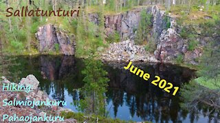 Lush nature at Sallatunturi fjeld in eastern Finland in June 2021