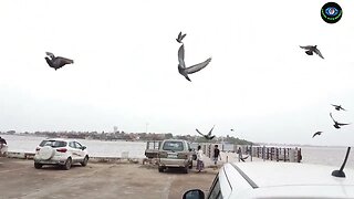 Vlog 36 | Diu jetty | Diu Daman India