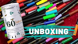 Unboxing Dual Tip Brush Markers