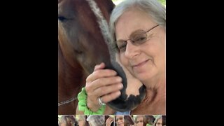 Very friendly colt loves to get kisses