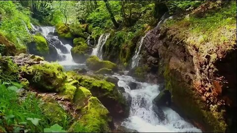 The Most Beautiful Waterfall Sounds | 4K Ultra HD | 1 Hour