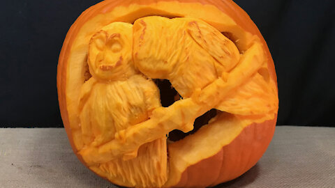 Squashcarver 'Owl Always Love You' 3D-pumpkin carving photo time-lapse