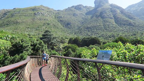 SOUTH AFRICA - Cape Town - Kirstenbosch National Botanical Garden (Video) (2Mc)