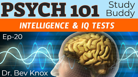 Intelligence & IQ Tests - Psych 101 “Study Buddy” Series