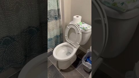 I trained my husband for 30 years to put the toilet seat down. I left for 3 weeks and he forgets 4x