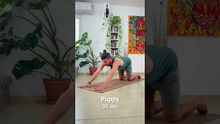 Yoga routine for complete beginners