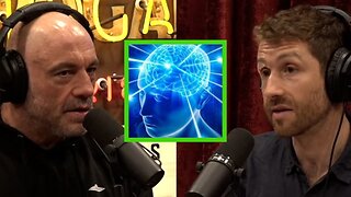 Tech Expert Warns of AI's Potentially Dangerous Capabilities JRE Podcast