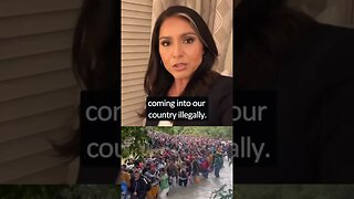 Tulsi Gabbard Slams Biden/Harris Administration over Border Security Hypocrisy