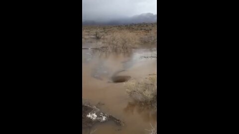 STRANGE HOLES IN THE NEVADA DESERT DUMBS