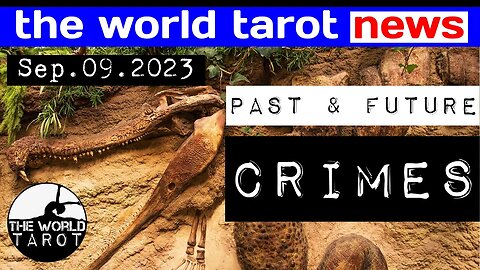 THE WORLD TAROT NEWS: Evidence Aliens Were Here Before Humans + Rich Man Meets Assassin Prostitute