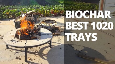 Making Biochar | Best 1020 Trays | Winter Tomatoes