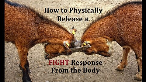 How to Release a Fight Response when the Body wants to Hit Something: (Somatic Experiencing Q&A)
