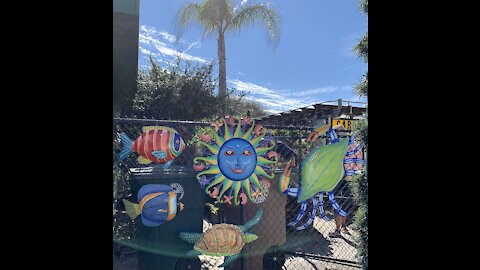 The Colors of New Smyrna Beach