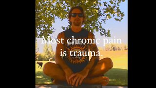 Most Chronic Pain Is Trauma | Steve-O and David Choe | TMS Talk #1