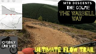 MTB Descents | The Wardell Way - The ultimate MTB steep flow trail!