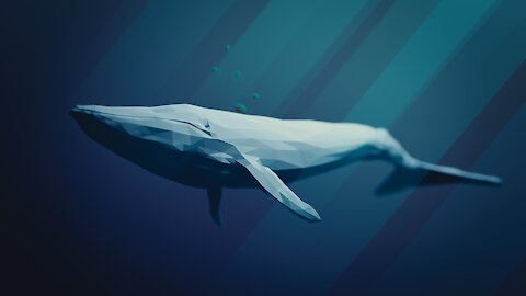 History of Blue Whale