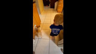 Baby Pranks His Pomeranian - Cuteness Overload