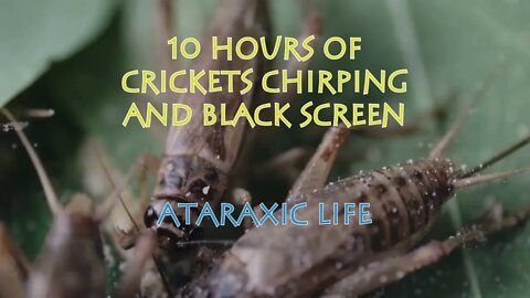 Sleep Studying, Relaxing, Writing , and Homework - 10 Hours of Crickets Chirping and Black Screen
