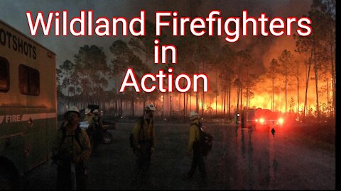 Wildland Firefight!