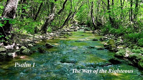 The Way of the Righteous - Psalm 1 - Jalan Orang Soleh - धर्मियों का मार्ग - Tsela ya ba lokileng