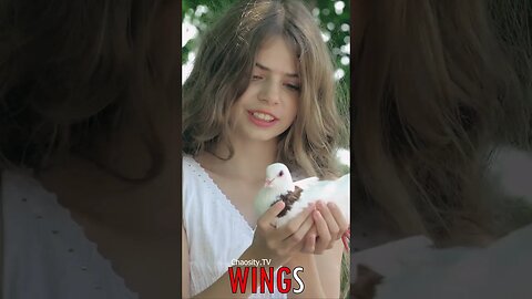 🐧 #WINGS - Wings of Peace: A Girl's Graceful Release of a Dove 🐦