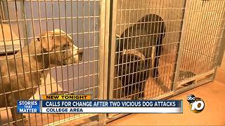 Calls for change after two vicious dog attacks