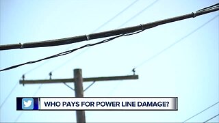 Who pays for low-hanging electric lines? You, or your utility company?