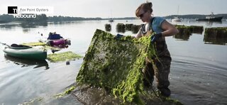 In a male-dominated fishing industry, women blazing new trails during COVID-19 pandemic