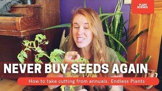 How To Take Cuttings From The Garden For Next Year. Growing Garden Cuttings Indoors | 🍅 🌶 🫑 🌿