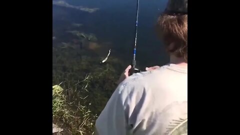 How to fish for bass