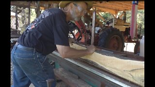 Milling Gum Bully Into Boards