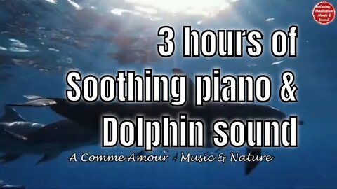 Soothing music with piano and dolphin sound for 3 hours, music for meditation and yoga