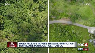 Puerto Rico ecosystem affected from Hurricane Marie