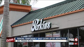 Health inspectors find 200 plus insects in Cape Coral restaurant