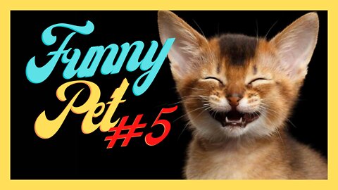 Funny Pet #5