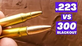 223 vs 300 blackout - CLAY BLOCKS!!! [Will Surprise You]