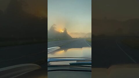 Early Morning in the Smokies over the Hood of a ‘63 T-bird