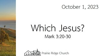 Which Jesus - Mark 3:20-30