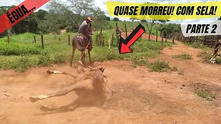 INACREDITÁVEL! Égua Teimosa se Recusa a Levantar A INCRÍVEL BATALHA E MANOBRA PERIGOSA! Veja Parte 2