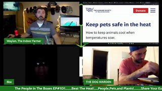 PITB EP#10! Beat The Heat! Hot Weather Safety For Us, Our Pets, And Plants! Let's Talk About It!