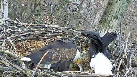 Hays Eagles - Fish Gift 3-5-23 @9:26