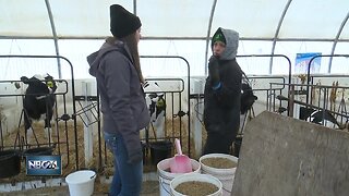 Farming mentor program setting students up for success