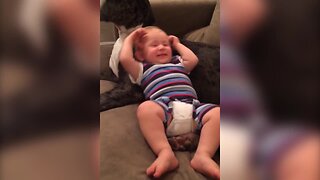 Baby and Great Dane are Best Buddies