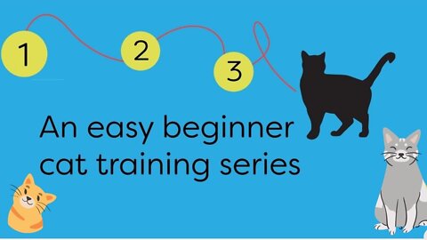 Cats 101 : Basic Cat Training Tips (An easy beginner cat training series
