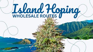 Hawaii's Medical Marijuana Milestone: Inter-Island Cannabis Commerce Takes Flight
