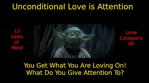 Attention is Unconditional Love - The Teachings of Mimi