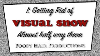 1 Getting rid of Visual Snow. Almost halfway there! 4K. Poofy Hair Productions